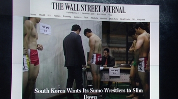 한국 씨름 열풍 주목한 월스트리트저널…제목엔 '스모'