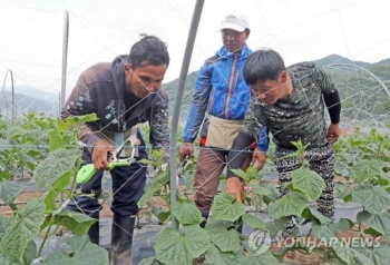 일꾼 사라진 농어촌…외국인 계절 근로자 3년 새 28배 껑충