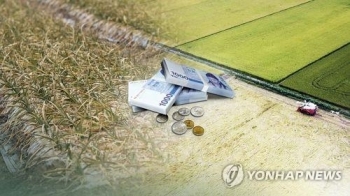 “올해 농가소득 4천500만원 예상…공익직불제 도입 효과“