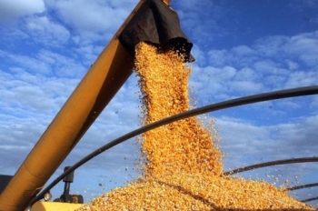브라질 옥수수 수출 미국 추월…세계 1위 수출품목 7개로 늘어