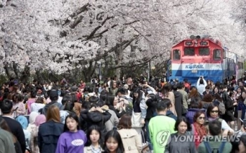 코로나19 확산에 전국 최대 봄꽃 축제 진해 군항제 취소
