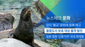 [뉴스체크｜문화] 울릉도서 보호 대상 물개 발견