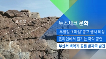 [뉴스체크｜문화] 부산서 백악기 공룡 발자국 발견