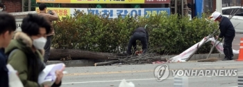 때아닌 강풍 왜…남쪽 고기압·북쪽 저기압 사이 '샌드위치'