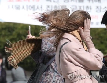 작년 소형 태풍보다 강한 바람…서울 강풍, '링링' 이후 최고