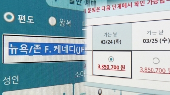 뉴욕~인천 노선 380만원 넘어…유럽서도 티켓 '별 따기'