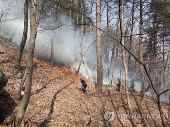 건조특보 속 양양서 산불…헬기 4대 투입 30여분 만에 진화