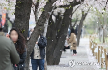 “벚꽃놀이는 내년에“ 주말 여의도한강공원 주차장 폐쇄