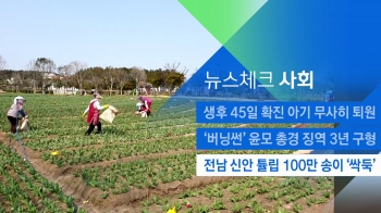 [뉴스체크｜사회] 전남 신안 튤립 100만 송이 '싹둑' 