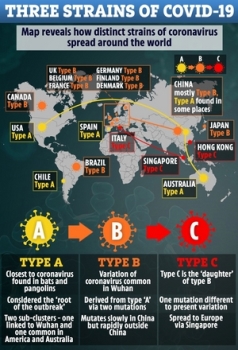 “코로나19, 3가지 유형의 변이 일으키며 세계로 퍼져나가“