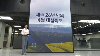 [날씨박사] '26년 만이라는데…' 제주, 유채꽃 핀 4월에 대설 특보