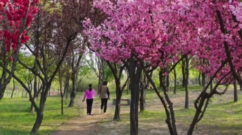 휴양림·수목원 운영 재개…격리 위반 '손목밴드' 내주 시행