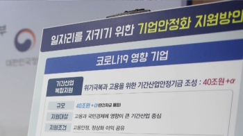 지난해 신규취업자 2배 규모…55만개 일자리 만든다