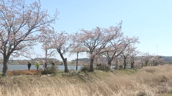 [날씨] 동해안 등 전국에 강풍…'산불경보' 격상