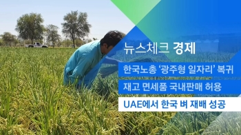 [뉴스체크｜경제] UAE에서 한국 벼 재배 성공