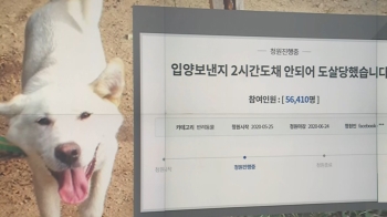 “잘 키울게“ 진돗개 입양받아 바로 도살업자에…'사기죄'