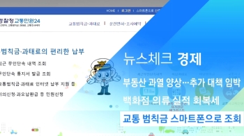 [뉴스체크｜경제] 교통 범칙금 스마트폰으로 조회