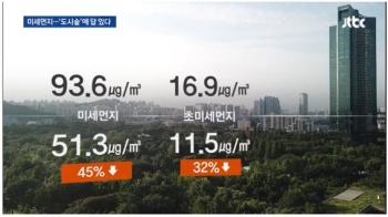 [박상욱의 기후 1.5] '여의도 면적 19배' 숲이 사라진다?