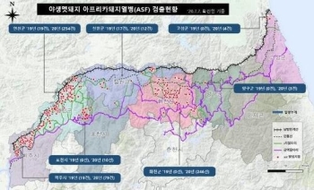 장마 북상에 경기북부 야생멧돼지 ASF 확산 우려