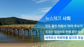 [뉴스체크｜사회] 세계유산 하회마을 섶다리 유실