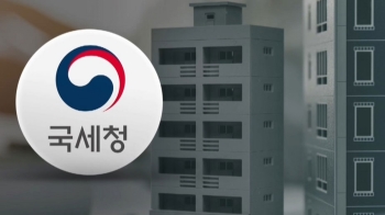 갭투자로 42채 싹쓸이…'아파트 쇼핑' 외국인 세무조사