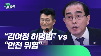 “김여정 지시로 법 만드냐“…태영호 한마디에 외통위 '시끌'