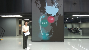 [날씨박사] 역대급 장마, 선선한 7월…한국 잇단 '이상징후' 