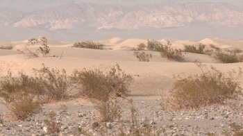 지구촌 온난화 '열병'…50도 넘는 미국 사막 모습은