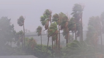 태풍 '바비' 세력 약화…중부지방에 강한 바람은 계속