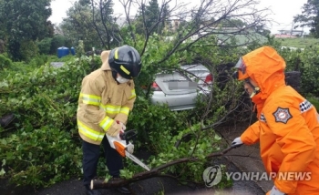 가로수 쓰러지고 만조 겹쳐 물난리…제주 태풍 피해 발생 속속