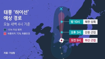 태풍 '하이선' 동쪽으로 틀어져…오전 9시 부산 최근접