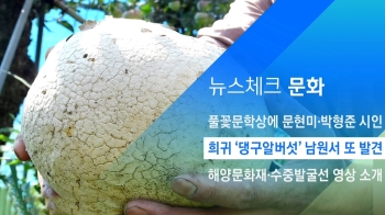 [뉴스체크｜문화] 희귀 '댕구알버섯' 남원서 또 발견