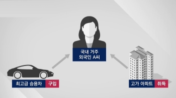 '소득 없는데 돈 펑펑' 20~30대 조사…절반 외국 국적