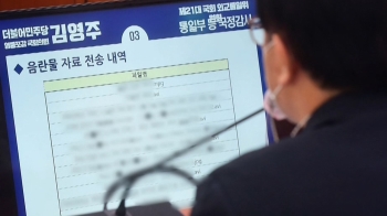 민주평통 업무용 컴퓨터에 '음란물'…국감서 황당 적발