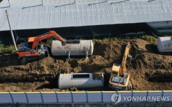 1년만에 화천 사육돼지서 아프리카돼지열병 발생…재입식 중단