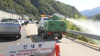 1년 만에 강원 화천서 '돼지열병' 발생…농가 초비상