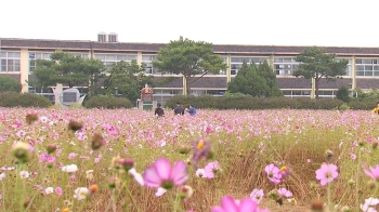 [밀착카메라] 흉물로 방치된 폐교…'명소'로 탈바꿈하다