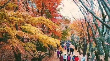 “가을·단풍 방역“…정부, 대형버스·케이블카 이용 제한