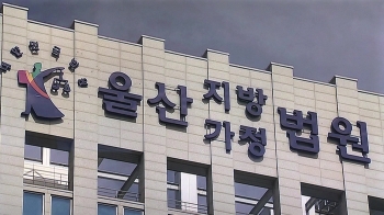 '생계형 범죄' 선고 미룬 법원…“특가법 조항이 문제“