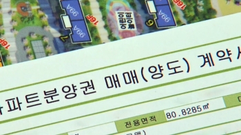 투기세력 이미 훑고 가…'규제 실기 논란' 김포 가보니