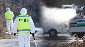 상주 농장서도 AI…“달걀 상인 자주 오가 전국적 위험“