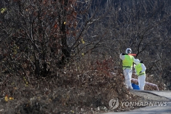 야생조류 고병원성 AI 감염 잇따라…전북 부안서도 확진