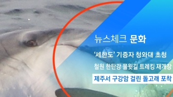 [뉴스체크｜문화] 제주서 구강암 걸린 돌고래 포착