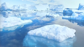 녹아내리는 북극곰 터전…“2035년 해빙 사라질 것“