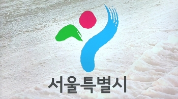 제설 실패 사과한 서울시…대책은 두 달 전 약속 '재탕'