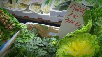 '설 차례상' 비용 껑충…과일·채소·고기 줄줄이 올라