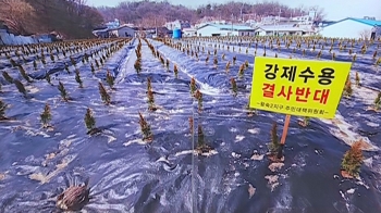 [이슈체크] 3기 신도시 표류 땐 '후폭풍'도…“투기·공급 분리해 따져야“