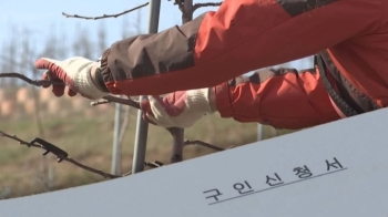 외국인 입국 못하니 농가 '일손 가뭄'…봉사자 '단비'