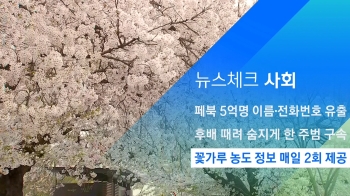 [뉴스체크｜사회] 꽃가루 농도 정보 매일 2회 제공