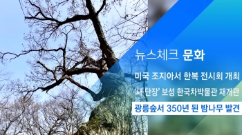 [뉴스체크｜문화] 광릉숲서 350년 된 밤나무 발견